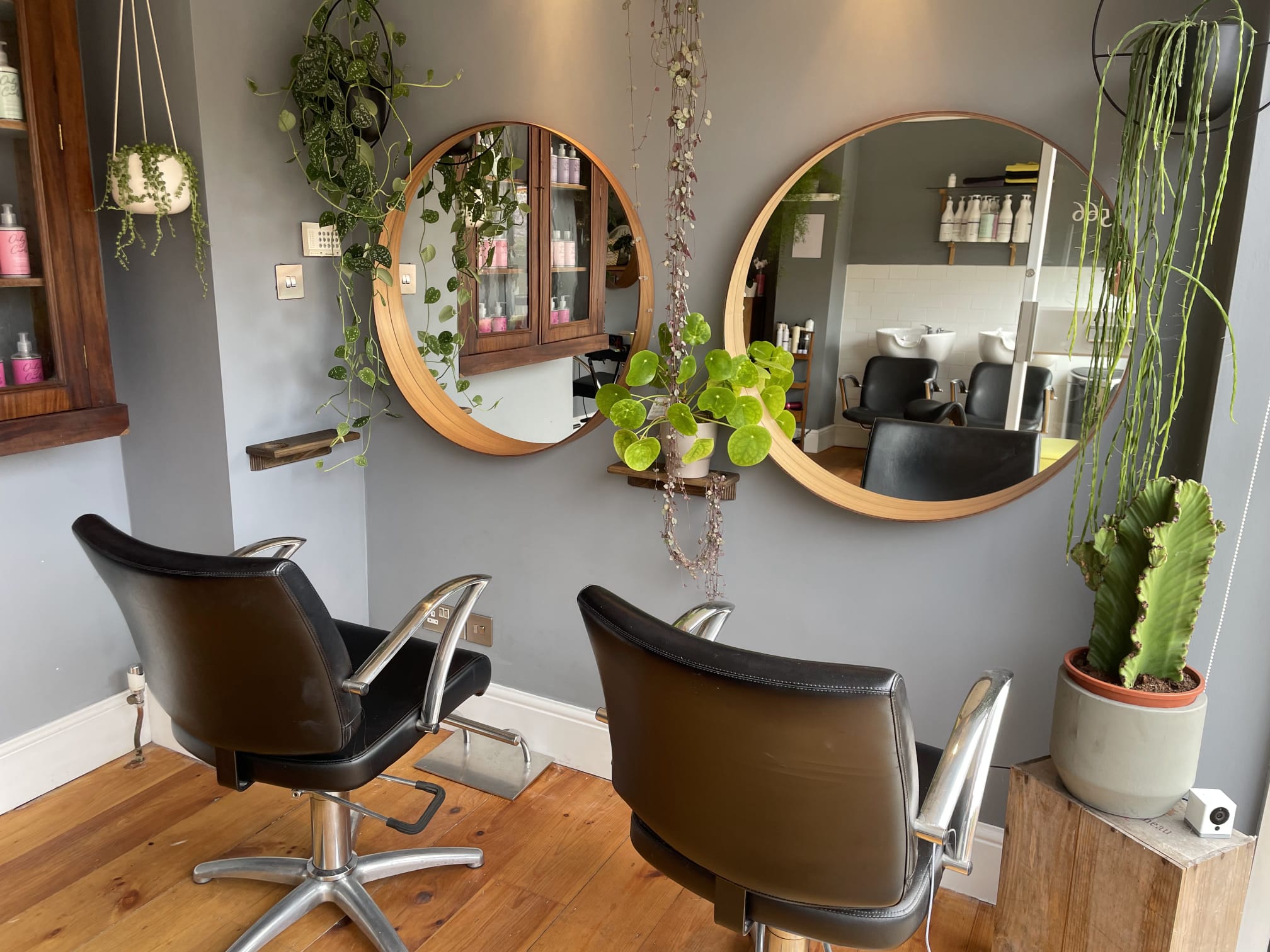 Curls of Wisdom Curl by Curl Cutting Chairs and Mirrors Salon Image With Plants Wivenhoe Curls of Wisdom Curl by Curl Cutting Chairs and Mirrors Salon Image With Plants Wivenhoe